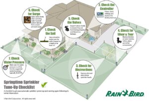 полив газона оборудованием Rain Bird